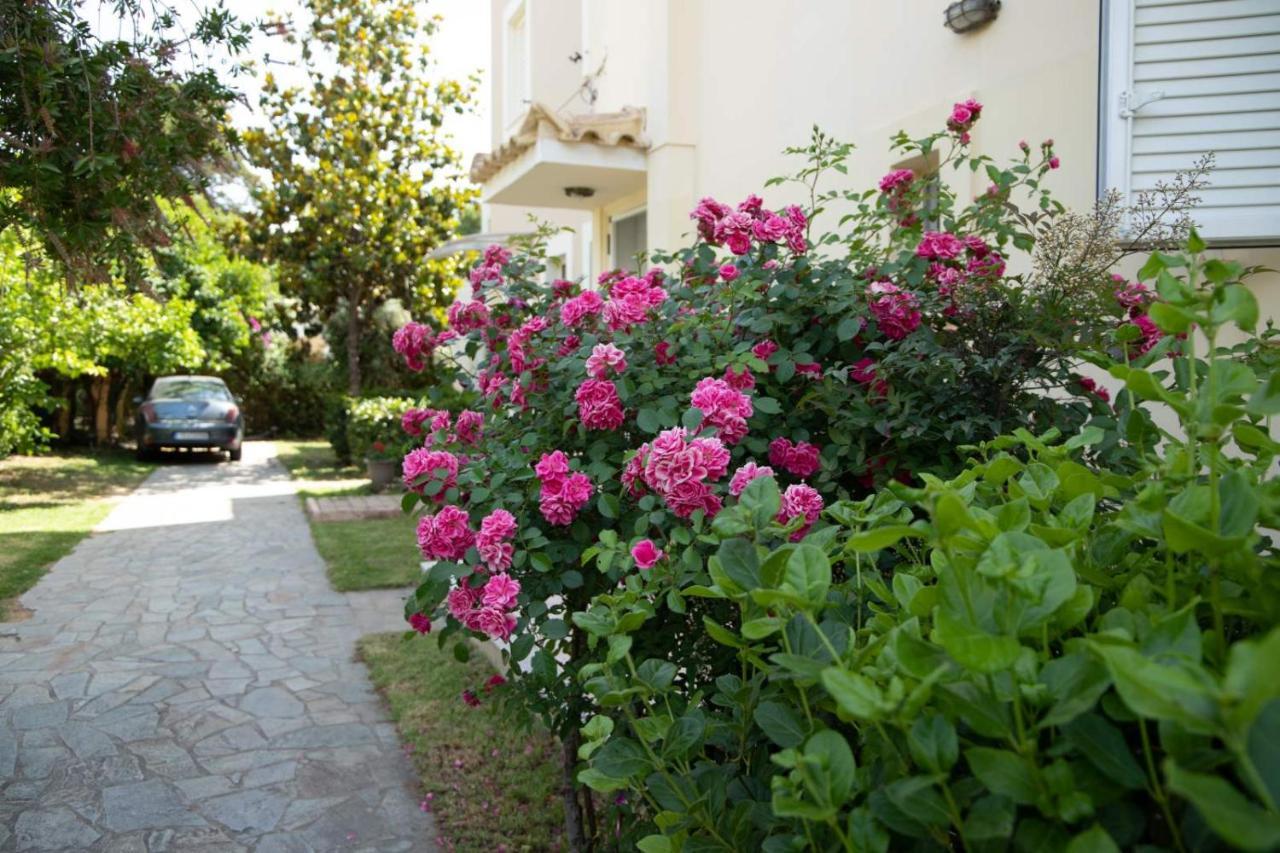 Palaiohora Avias Apartments Экстерьер фото